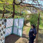 Tirana area 4